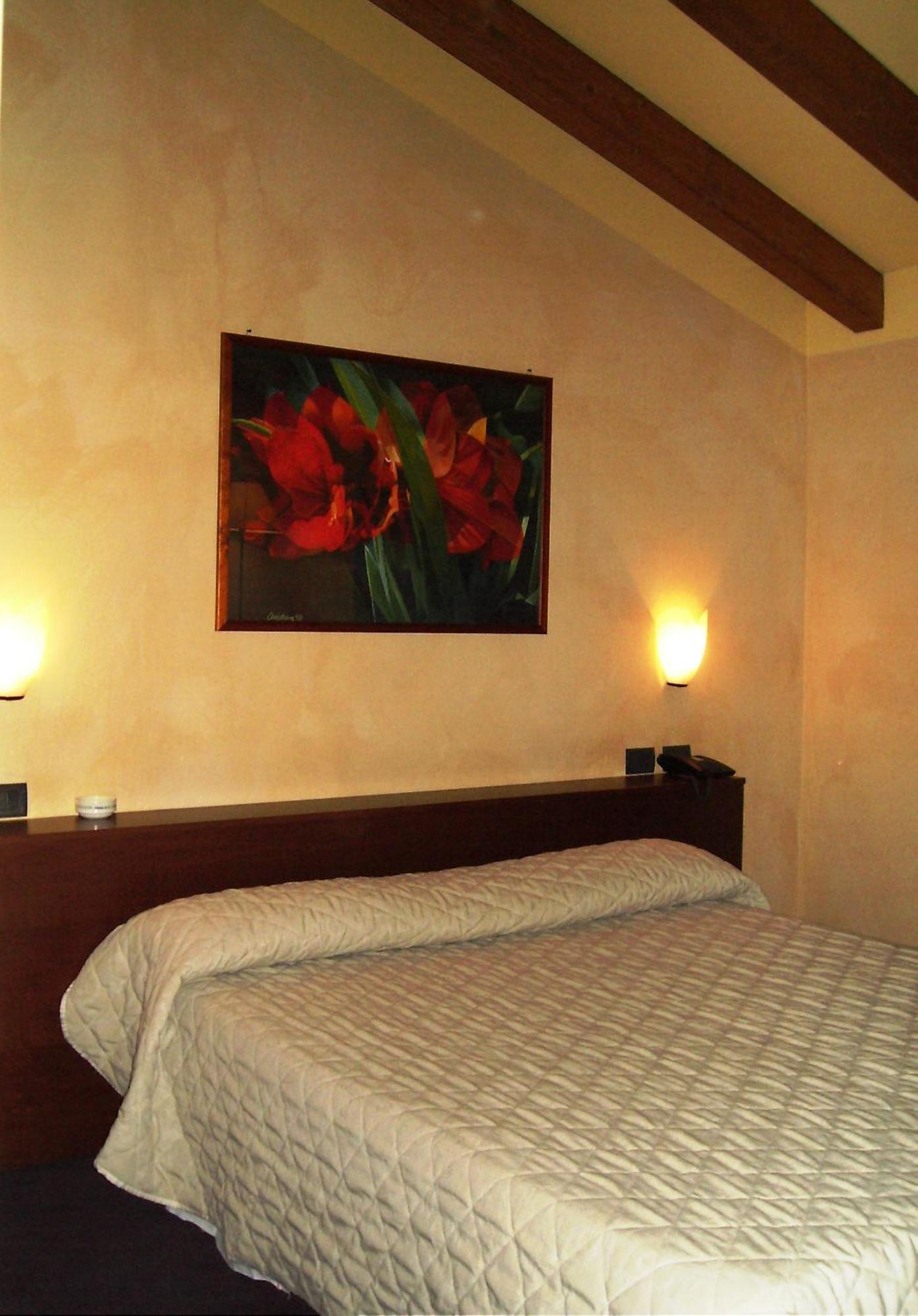 Hotel Parco Castelvetro Piacentino 部屋 写真